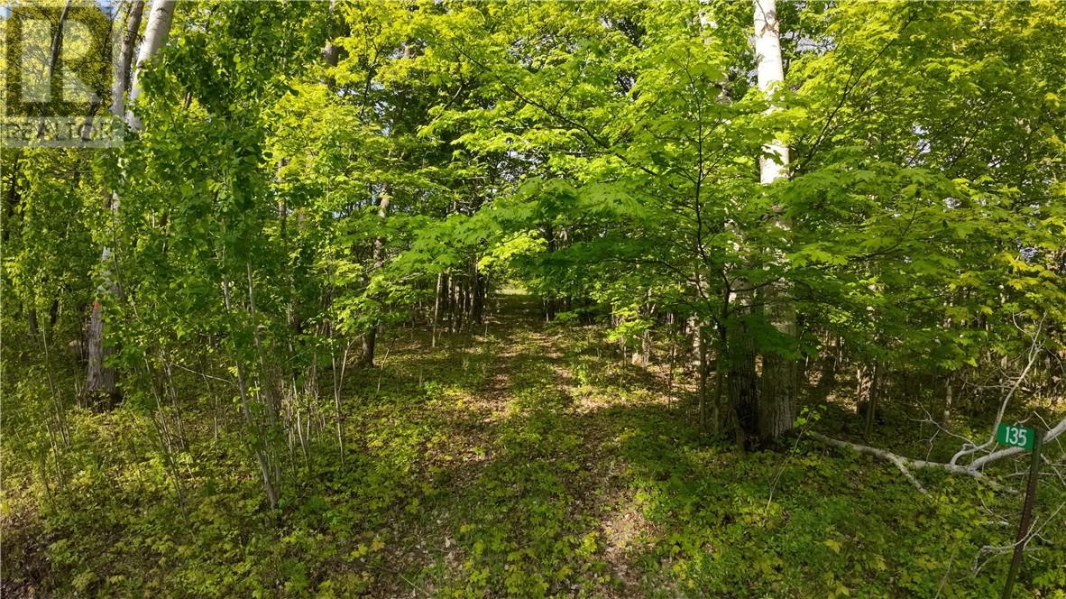 135 Maple Drive, Kagawong, Manitoulin Island, Ontario P0P1J0 HouseSigma