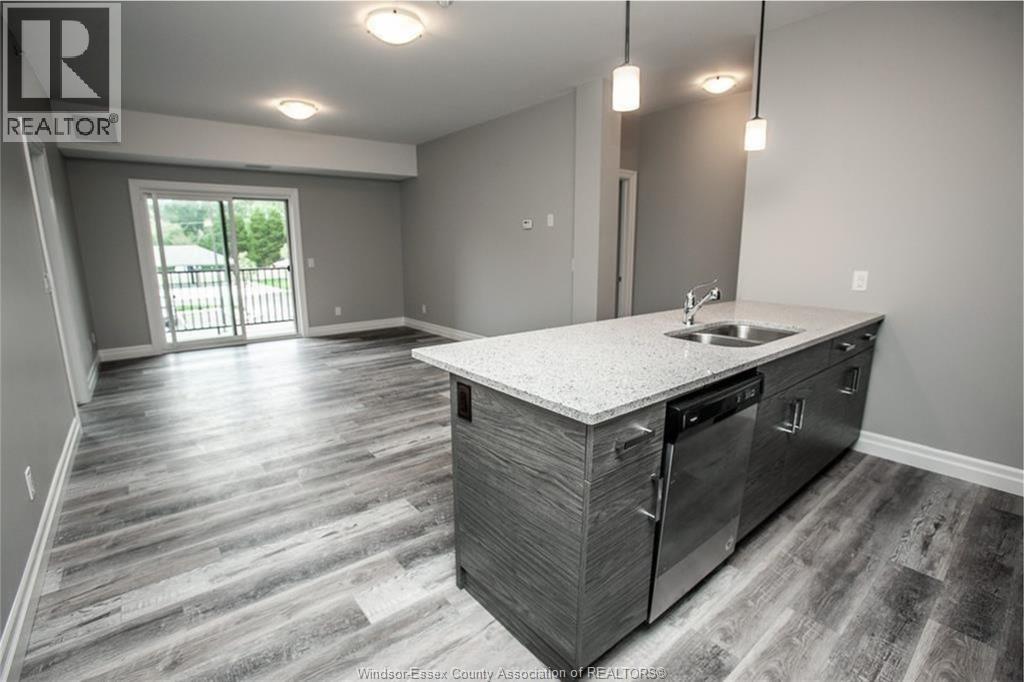 Unit 205 - 5840 NEWMAN, LaSalle 4