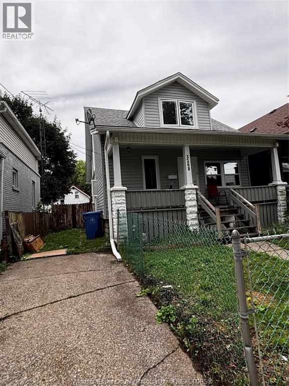 3268 BABY, Windsor 1