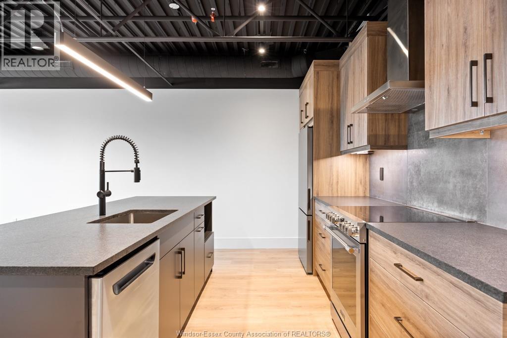 Unit 207 - 3850 DOUGALL, Windsor 4