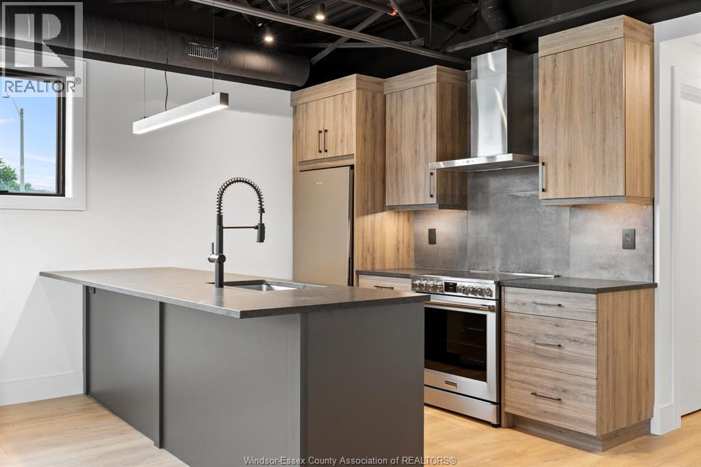 Unit 208 - 3850 DOUGALL, Windsor 3