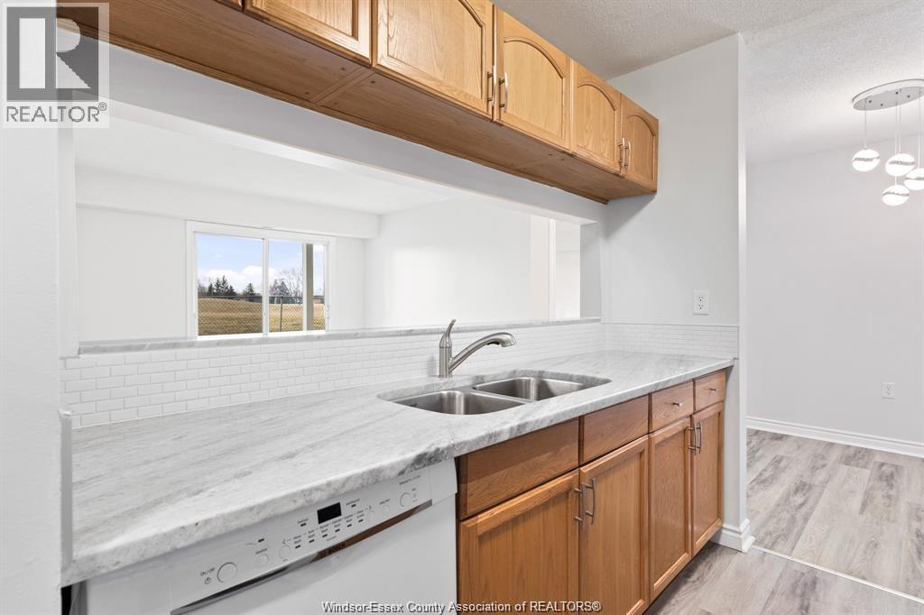 Unit 112 - 2922 RIVARD, Windsor 5