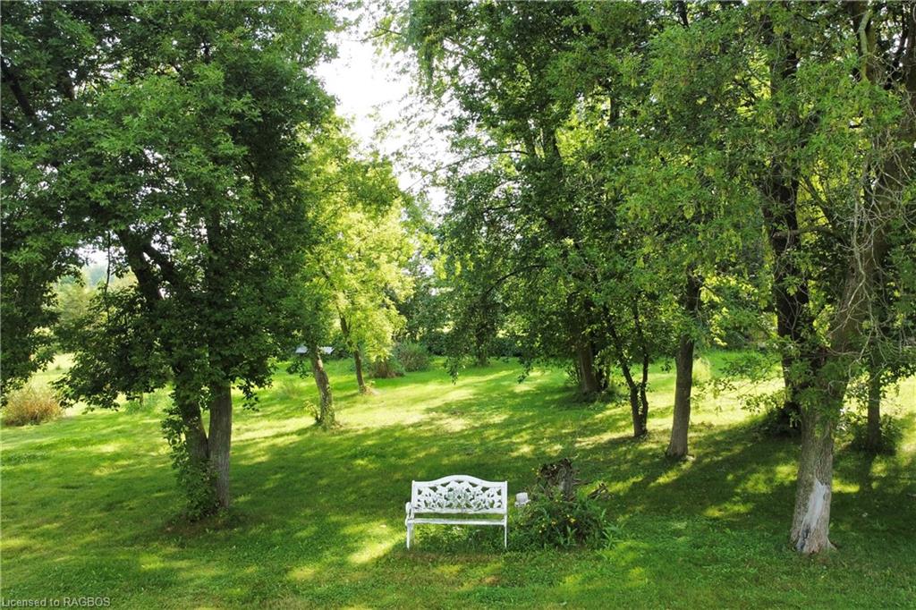 49 Main Street N, Elmwood, Ontario N0G1S0 Sold History HouseSigma