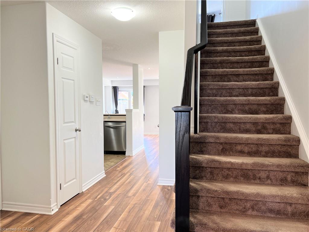 46 Renfrew Street, Kitchener 5