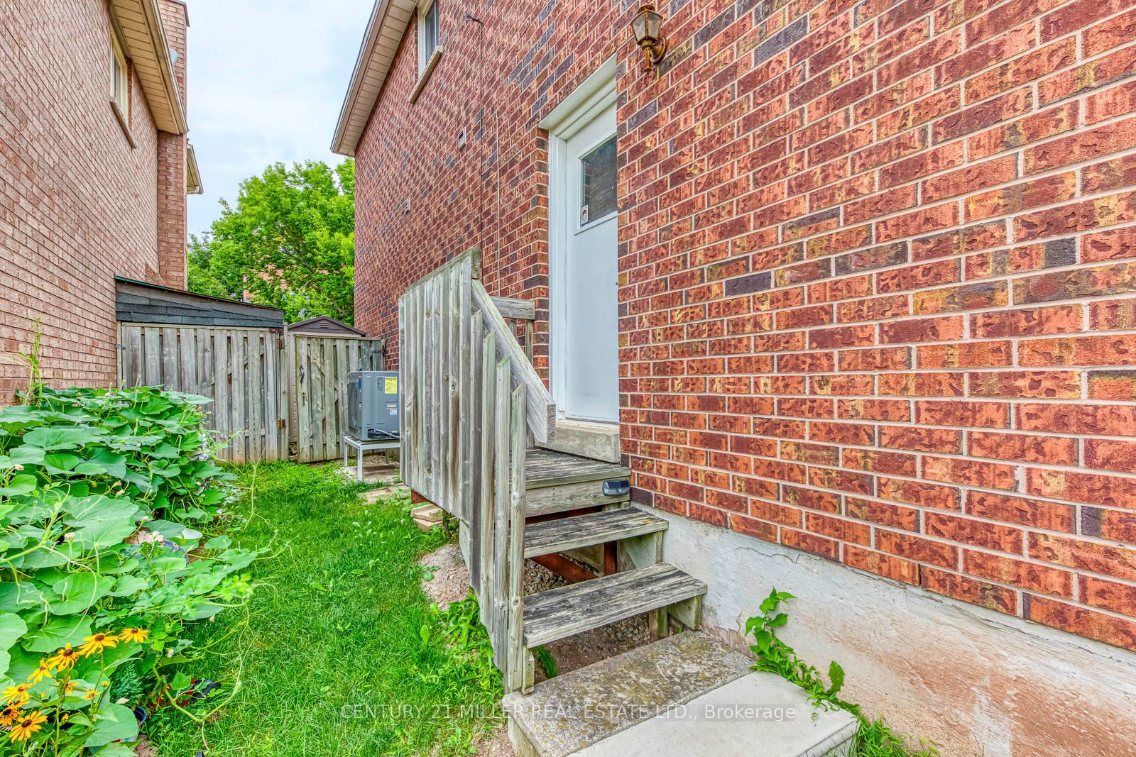 Unit Lower - 1351 Fieldcrest Lane, Oakville 3