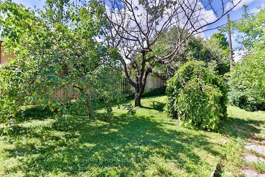 317 Albion Road, Etobicoke 4
